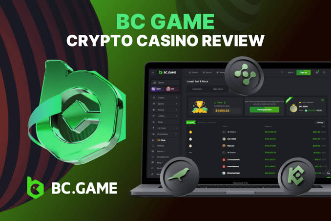 Everything You Need to Know About BC.Game Login Everything You Need to Know About BC.Game Login